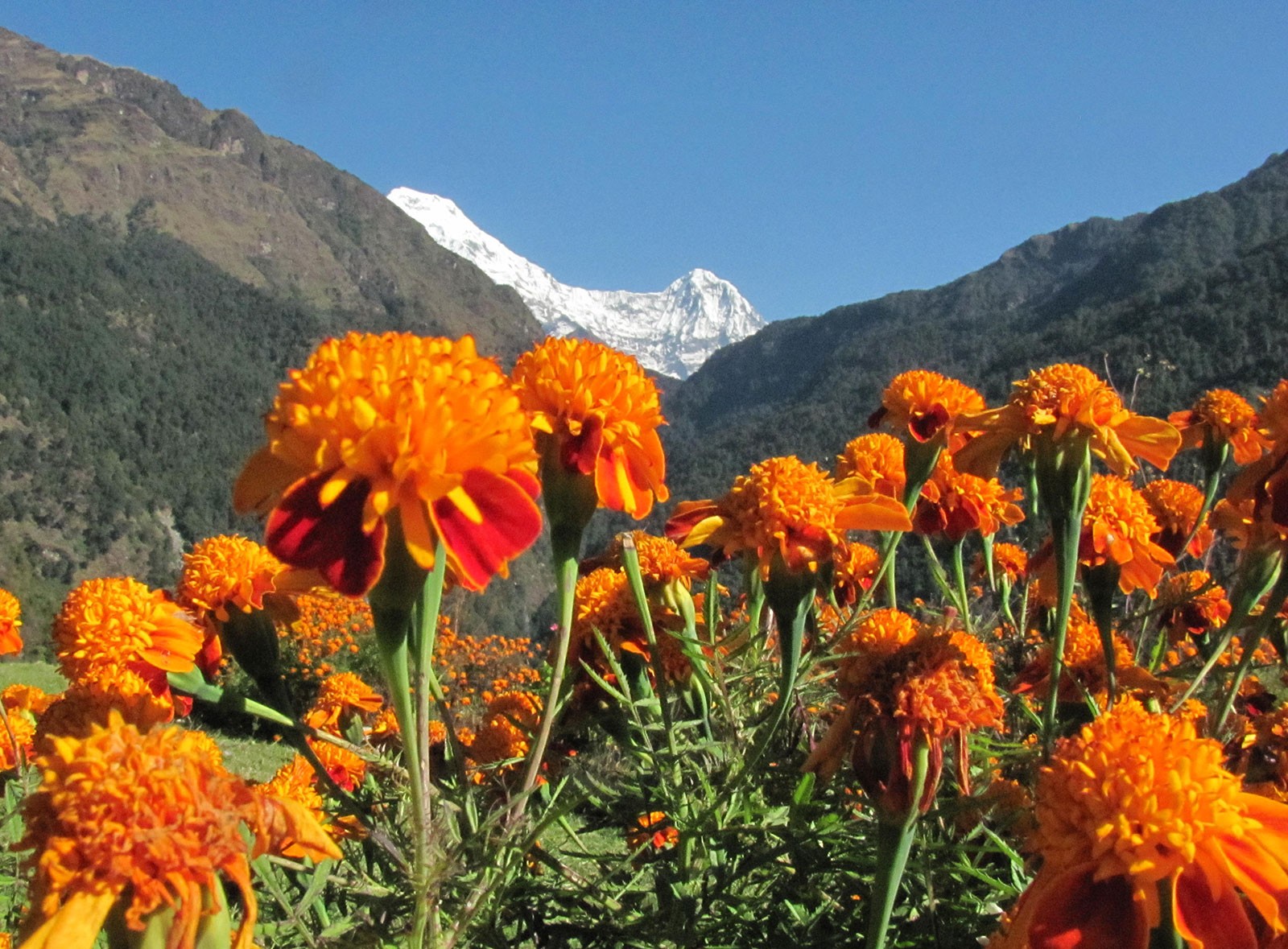 10 Best Things To Do In Nepal | Himalayan Trails Trekking
