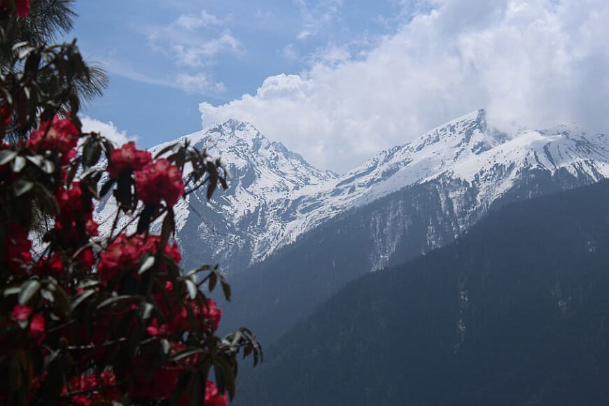 Langtang Trekking Altitude