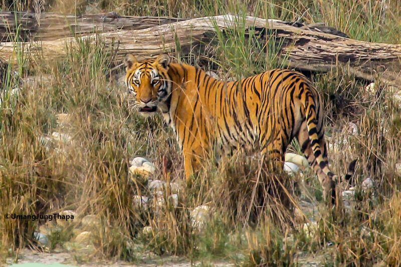 Bardia National Park