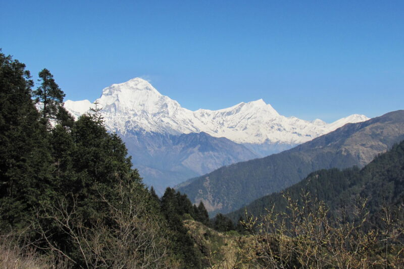Short Panchase Trek