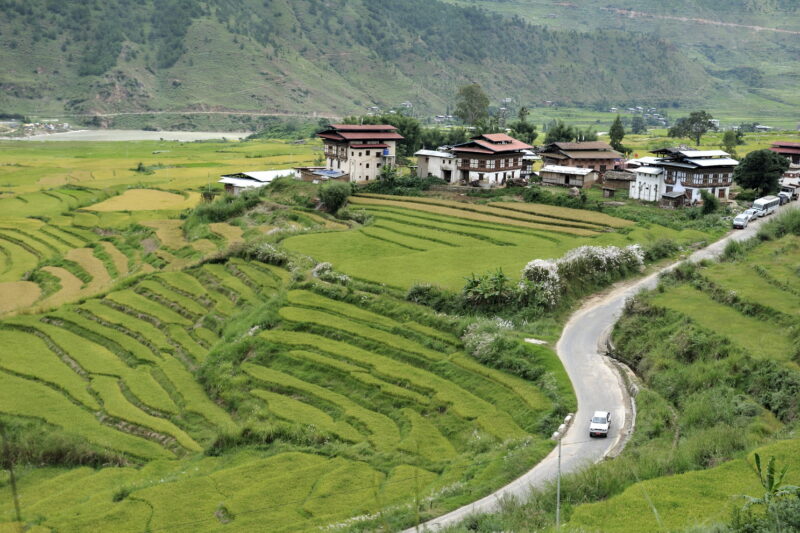 Druk Path Trek
